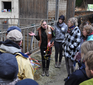 Mit dem Stethoskop im Kuhstall