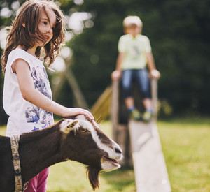 Kinder, Tiere