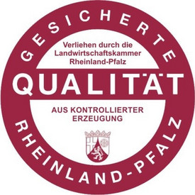 Logo QZRP