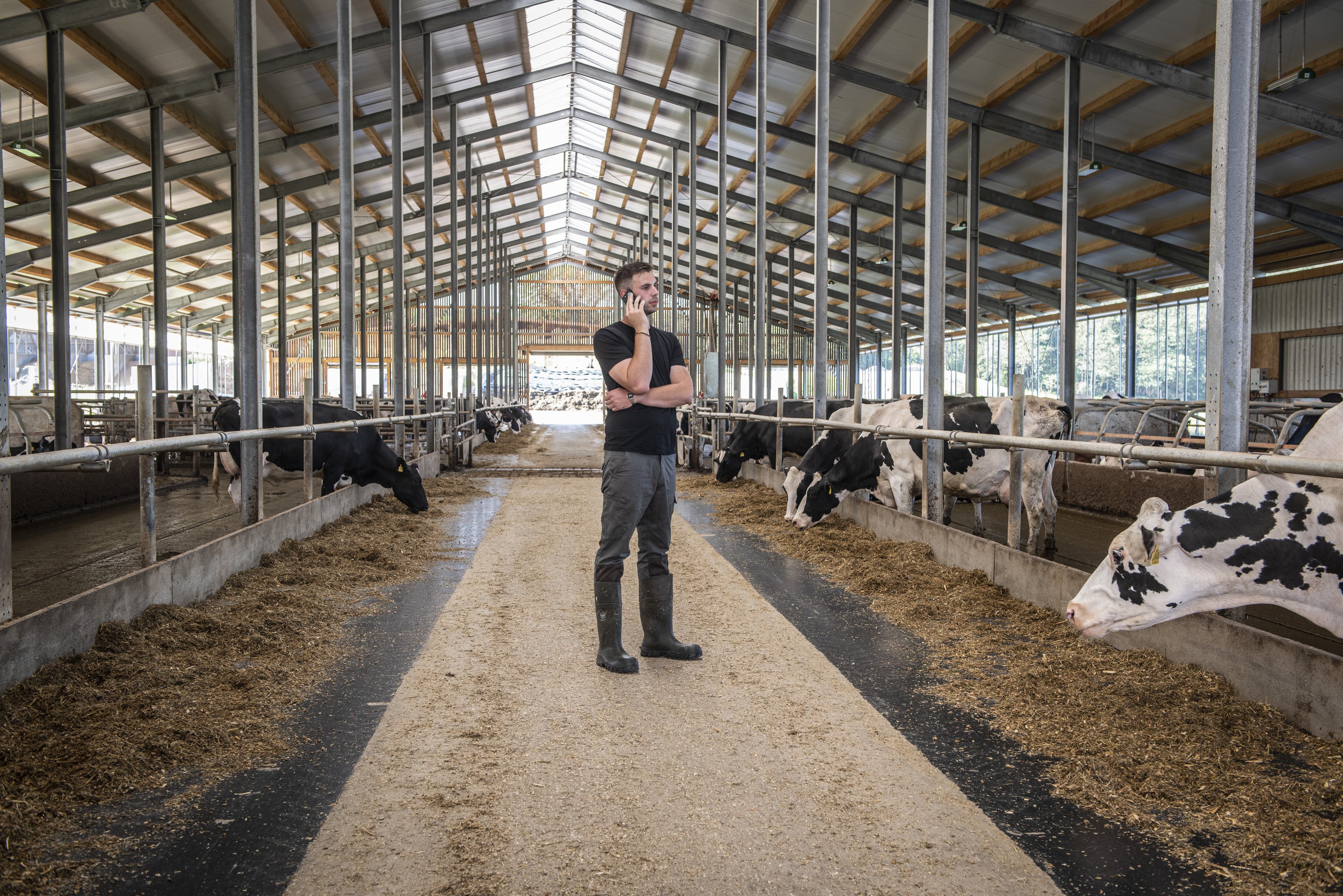 Landwirt im Stall