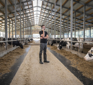 Landwirt im Stall