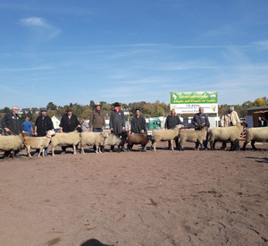 Gruppenbild Teilnehmer und Tiere